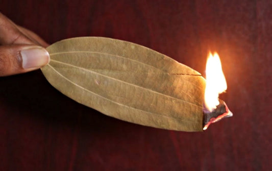 Bobkový List: Prírodný Spôsob, ako Osviežiť Vzduch a Atmosféru